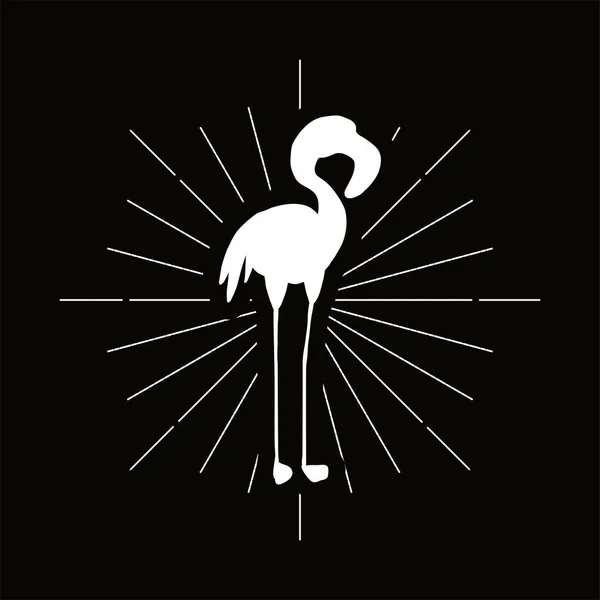 Różowa Plakietka Sylwetką Flaminga Egzotyczna Ikona Wektora Ptaka Ornitologia Afrykański — Wektor stockowy