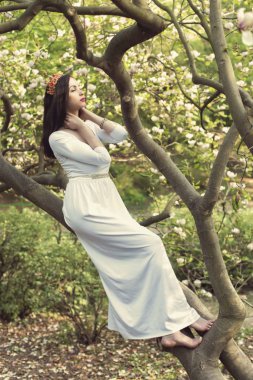 Fantastik çiçekli Bahar Parkı