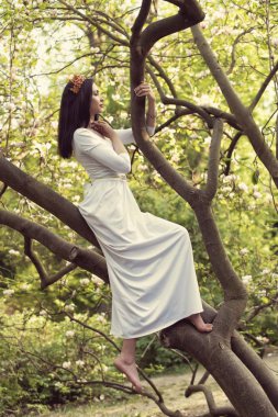 Fantastik çiçekli Bahar Parkı