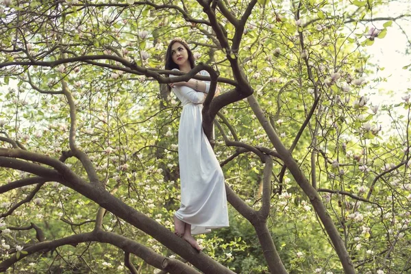 Fantastik çiçekli Bahar Parkı