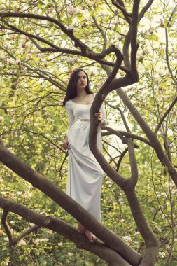 Fantastik çiçekli Bahar Parkı