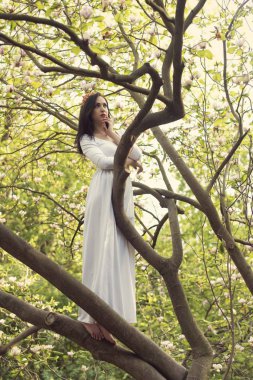 Fantastik çiçekli Bahar Parkı