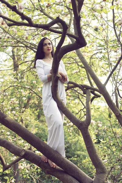 Fantastik çiçekli Bahar Parkı