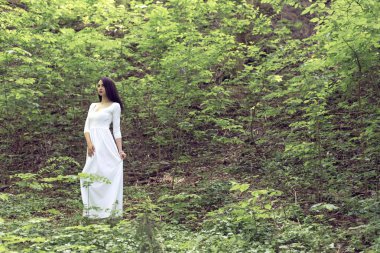 Fantastik çiçekli Bahar Parkı