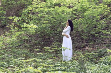 Fantastik çiçekli Bahar Parkı