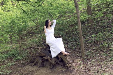 Fantastik çiçekli Bahar Parkı