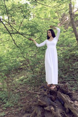 Fantastik çiçekli Bahar Parkı