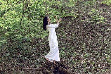 Fantastik çiçekli Bahar Parkı