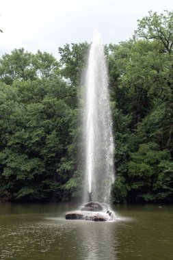 Avrupa'nın vahşi manzaralar