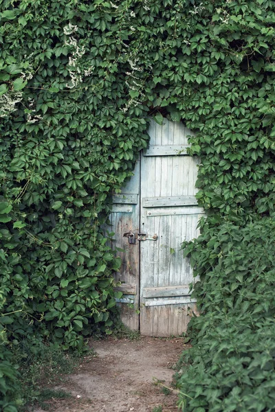 Avrupa'nın vahşi manzaralar