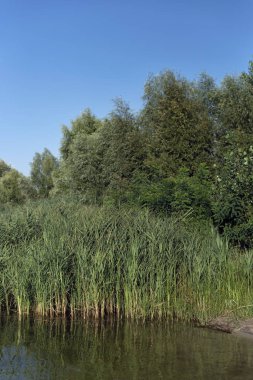 Avrupa'nın vahşi manzaralar