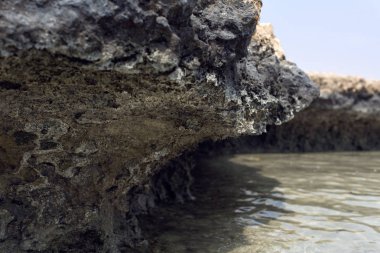 Kuzey Afrika'nın vahşi manzaralar