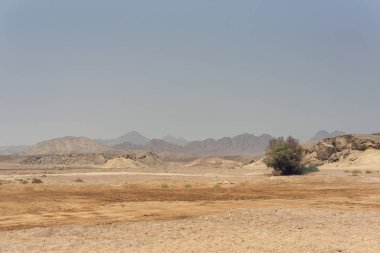 Kuzey Afrika'nın vahşi manzaralar