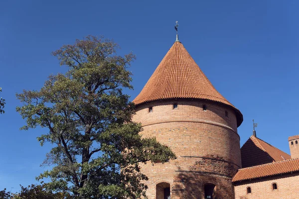 Alte Burg Auf Der Insel Trakai — Stockfoto