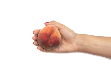 Mevsimlik meyve ve sebze