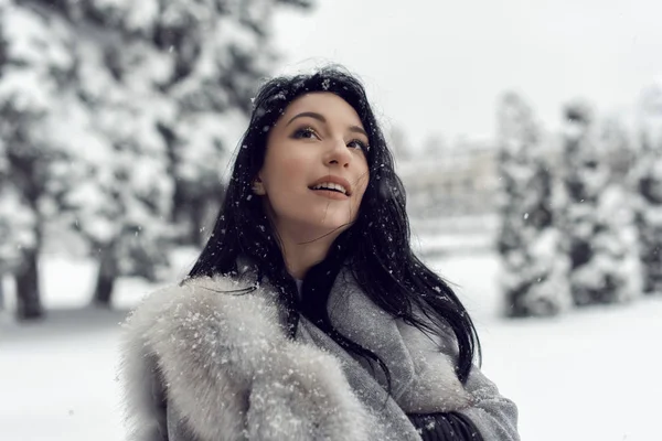 Passeggiata Invernale Con Una Bruna Luminosa — Foto Stock