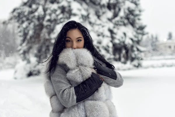 Passeio Inverno Com Uma Morena Brilhante — Fotografia de Stock