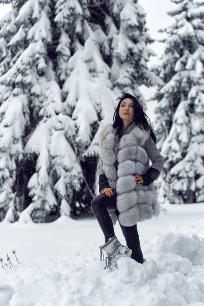 Passeio Inverno Com Uma Morena Brilhante — Fotografia de Stock