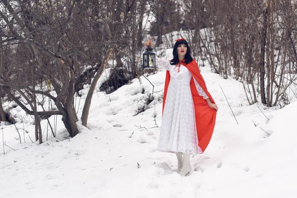 Snövit Äventyr Skogen Vinter — Stockfoto