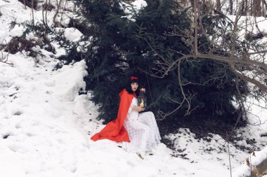 Pamuk Prenses maceralar içinde kış orman