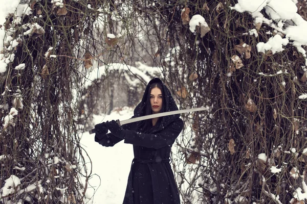 Dans Parc Avec Une Fille Par Temps Neigeux — Photo