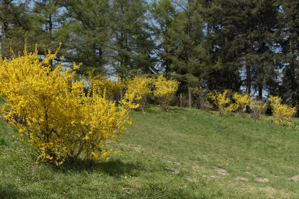 Doğu Avrupa 'da vahşi manzaralar