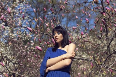 Güzel çiçek açan manolyalar ile Bahçe