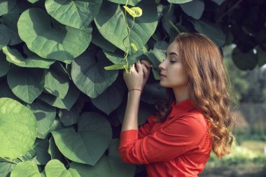 Yaz botanik bahçesinde genç bir kız ile yürüyüş