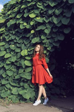 Yaz botanik bahçesinde genç bir kız ile yürüyüş