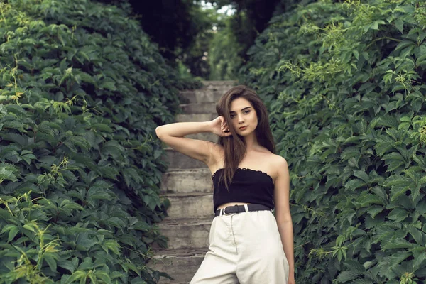 Şık modern giysiler genç esmer