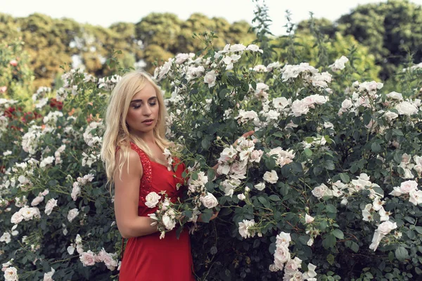 Зріла блондинка в саду з трояндами — стокове фото