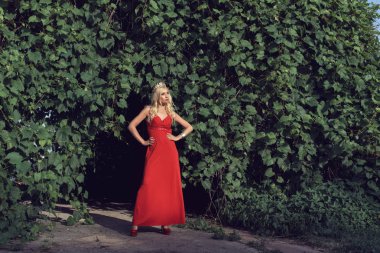 Yaz botanik bahçesinde Olgun sarışın 