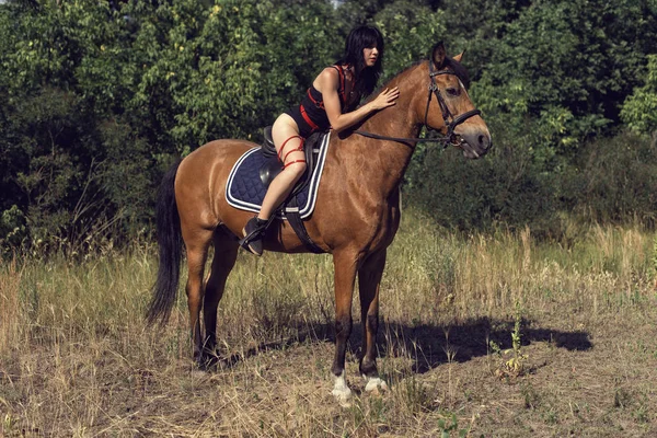 Passeio de verão da menina com um cavalo marrom — Fotografia de Stock