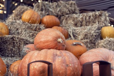 Saman ile Cadılar Bayramı balkabağı dekorasyonu