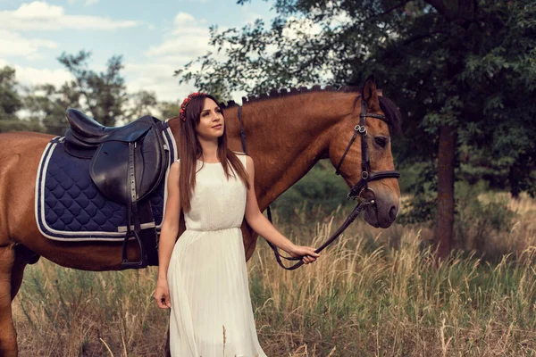 Menina Campo Cavalo Marrom — Fotografia de Stock