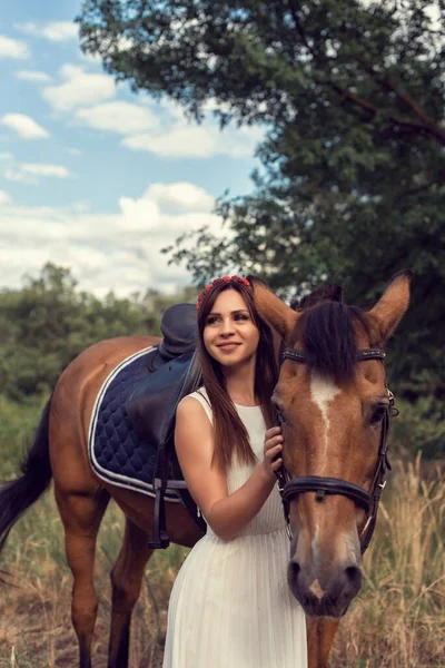 Девушка Поле Коричневой Лошади — стоковое фото
