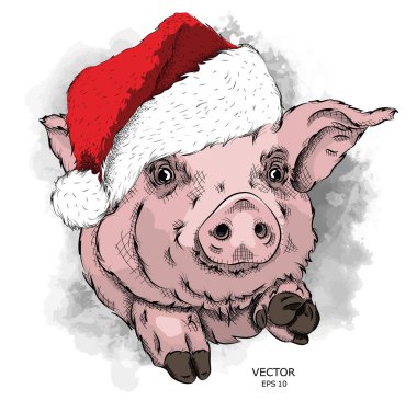 Santa Claus şapka içinde domuz. Yeni yıl kartı. Vektör çizim