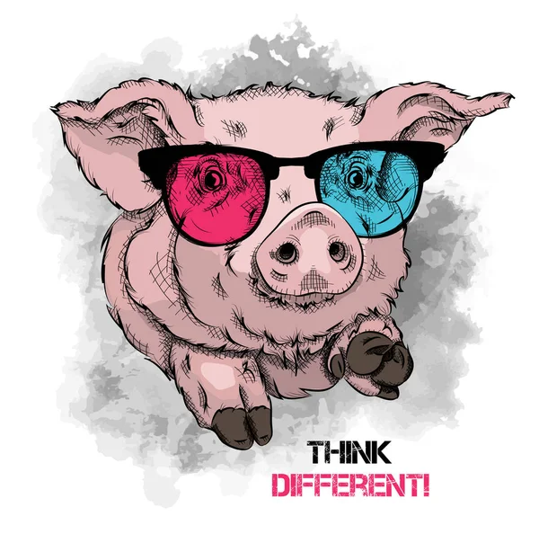 Portrait Pig Colored Glasses Think Different Vector Illustration — Stock Vector
