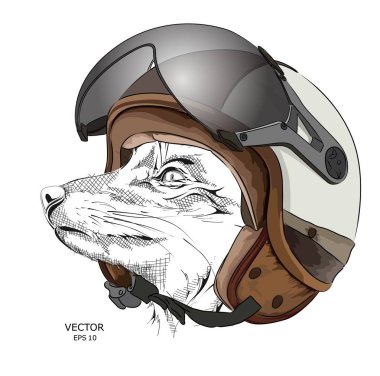 Portre fox motosiklet kask içinde görüntü. Vektör çizim.