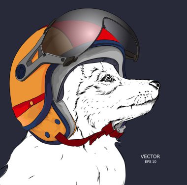 Görüntü portre köpek motosiklet kask içinde. Vektör çizim.