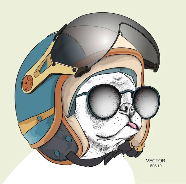 Зображення Портретна Собака Мотоциклетному Шоломі Векторні Ілюстрації — стоковий вектор