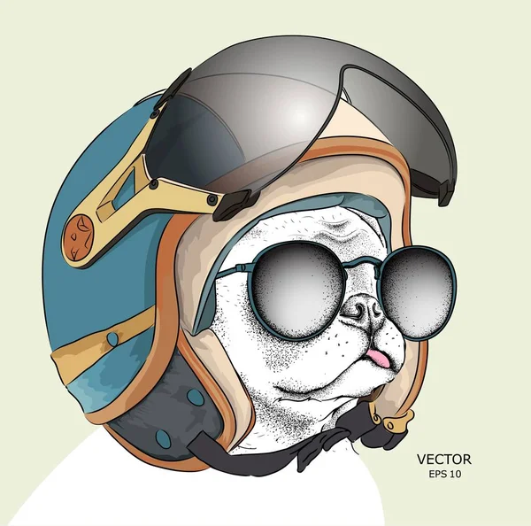Görüntü portre köpek motosiklet kask içinde. Vektör çizim.