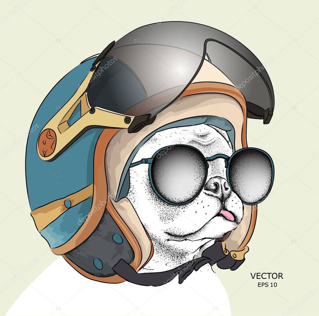 Image Portrait dog in motorcycle helmet. Vector illustration.