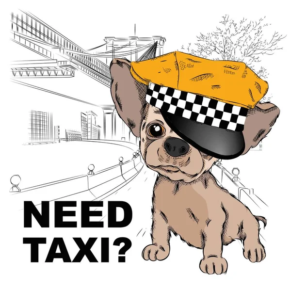 Собака Капелюсі Таксиста Собака Тлі Міста Векторні Ілюстрації — стоковий вектор