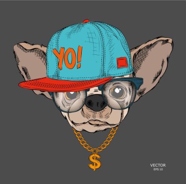 Poster ile görüntü köpek portre hip-hop şapkalı. Vektör çizim.