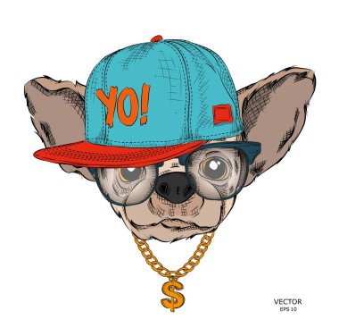 Poster ile görüntü köpek portre hip-hop şapkalı. Vektör çizim.