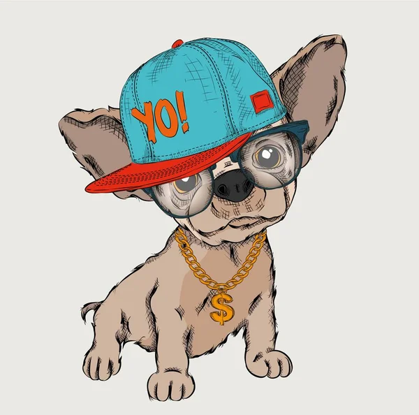 Αφίσα Σκύλο Πορτρέτο Εικόνα Στο Χιπ Χοπ Καπέλο Vector Εικονογράφηση — Διανυσματικό Αρχείο