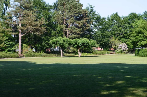 Şehir Parkı yaz altında doğada