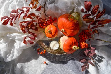 Sonbahar düz fotoğraf konsepti