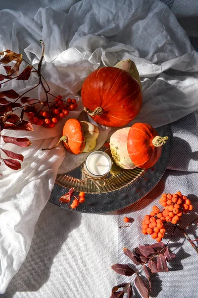 Automne plat pose concept photo. Citrouilles décoratives — Photo